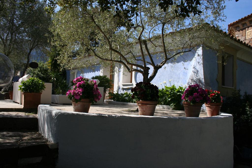Residenza Di Campagna Seranile Dorgali Exteriér fotografie