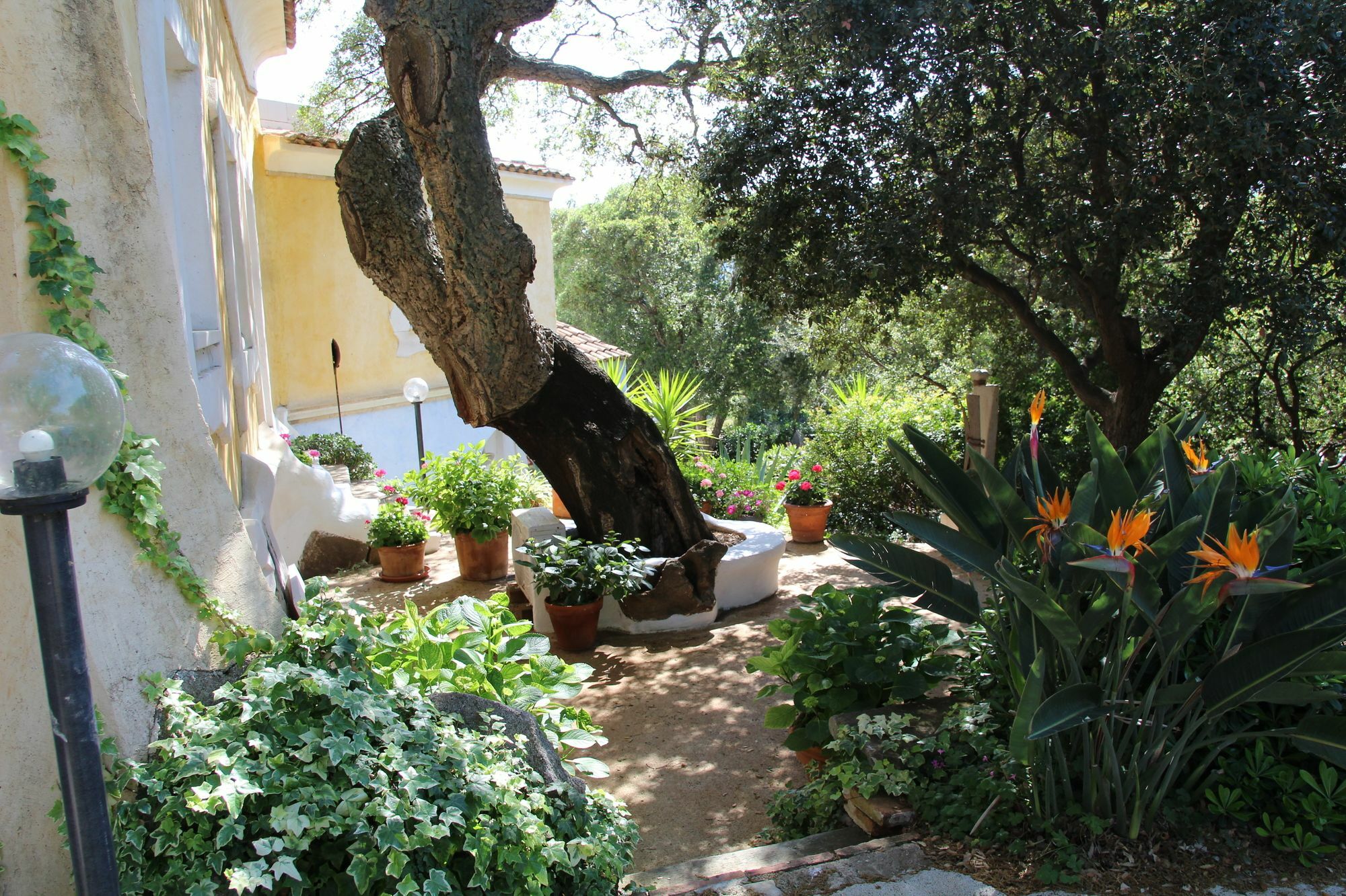Residenza Di Campagna Seranile Dorgali Exteriér fotografie